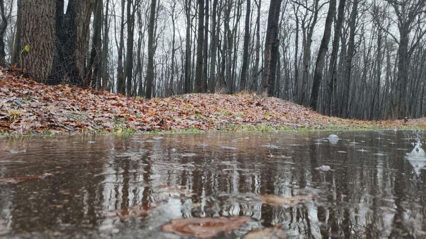 10 ноября жителей Пензенской области опять ждет дождь