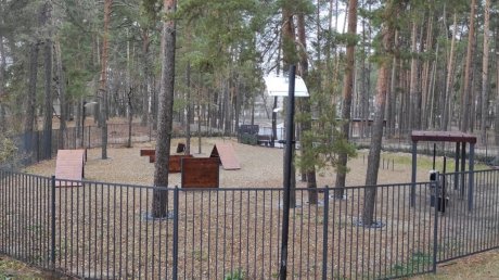 Зареченцев пригласили оценить парк, на который потратили 95 млн рублей