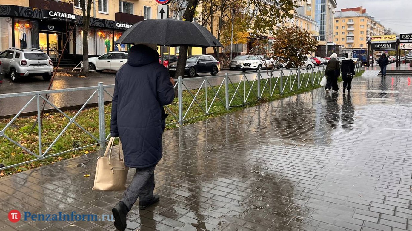 14 ноября жителей Пензенской области ждет дождь со снегом