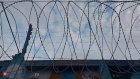 В Кремле уточнили позицию о помиловании заключенных за участие в СВО
