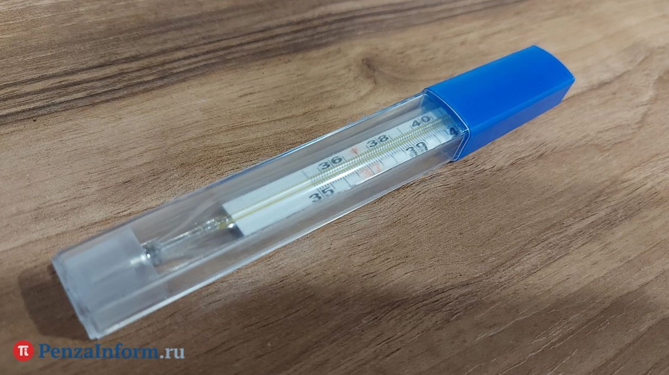 В Пензенской области выделили еще 12,6 млн на вакцину от гриппа