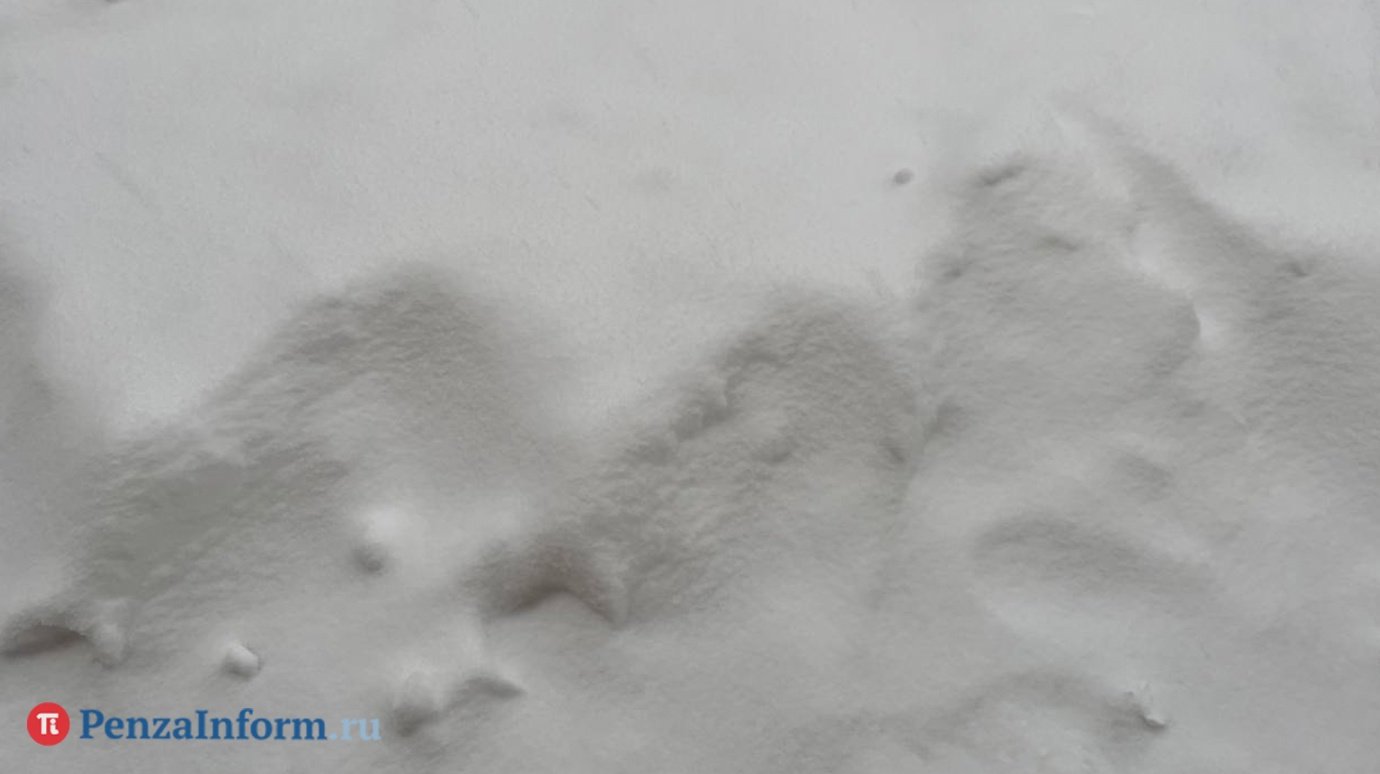 Затаившегося с добычей никольчанина выдали следы на снегу