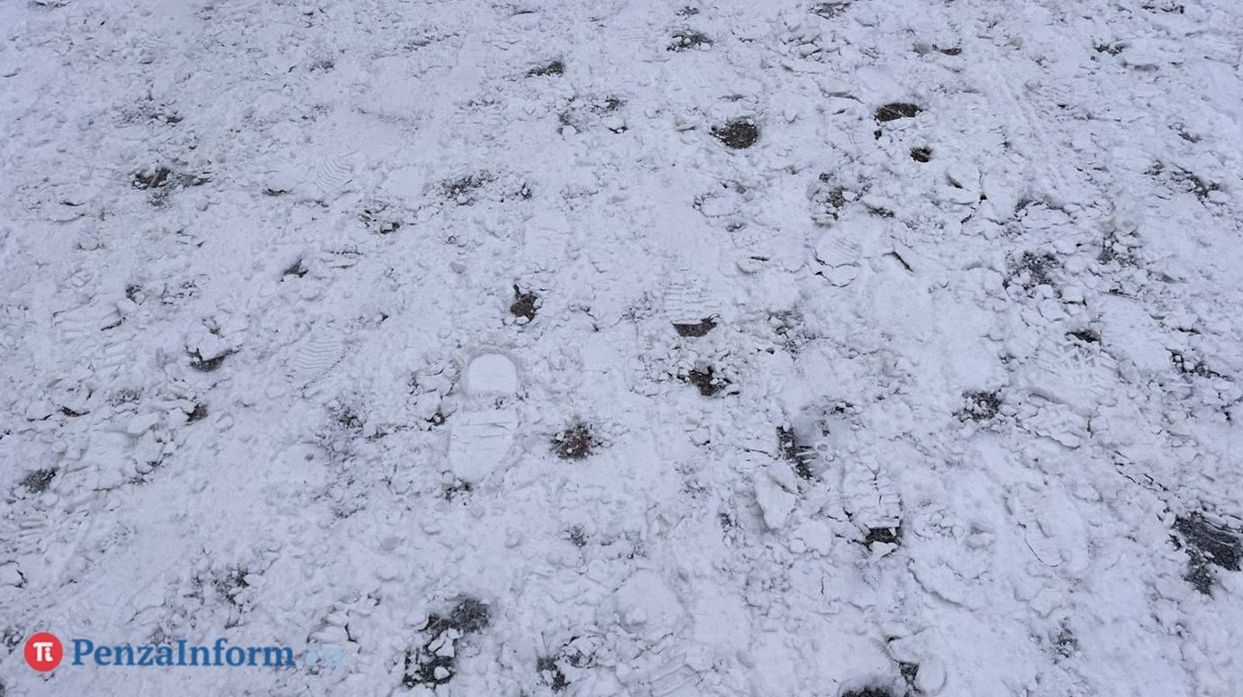Пензенцев вновь предупредили о сильном снеге с метелью