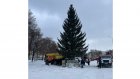 Кузнецку подарили главную новогоднюю елку
