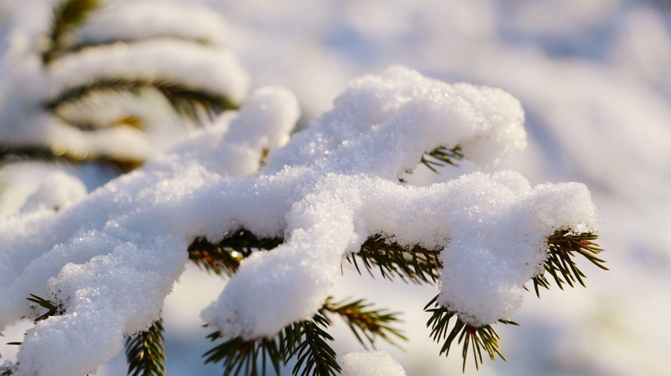 7 декабря жителей Пензенской области ожидает морозное утро