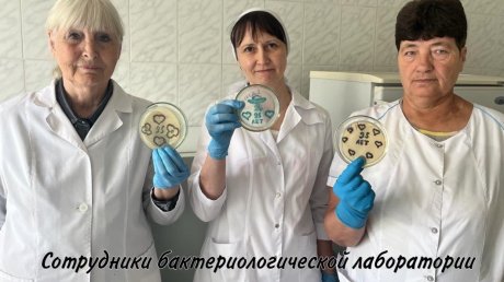 В Городищенском районе врачи увлеклись рисованием бактериями