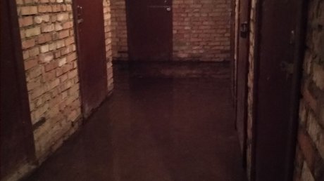 В подвал дома на ул. Мира в Пензе 2 недели прибывает вода