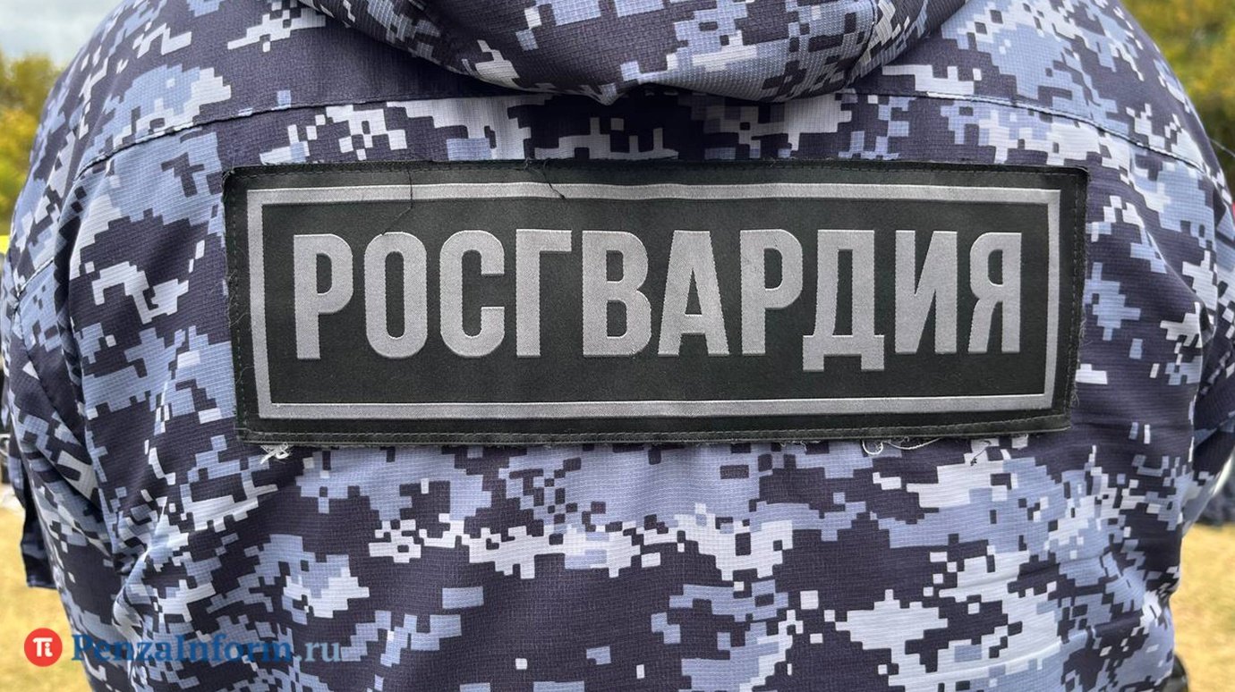 В России начнут штрафовать за дискредитацию добровольцев Росгвардии