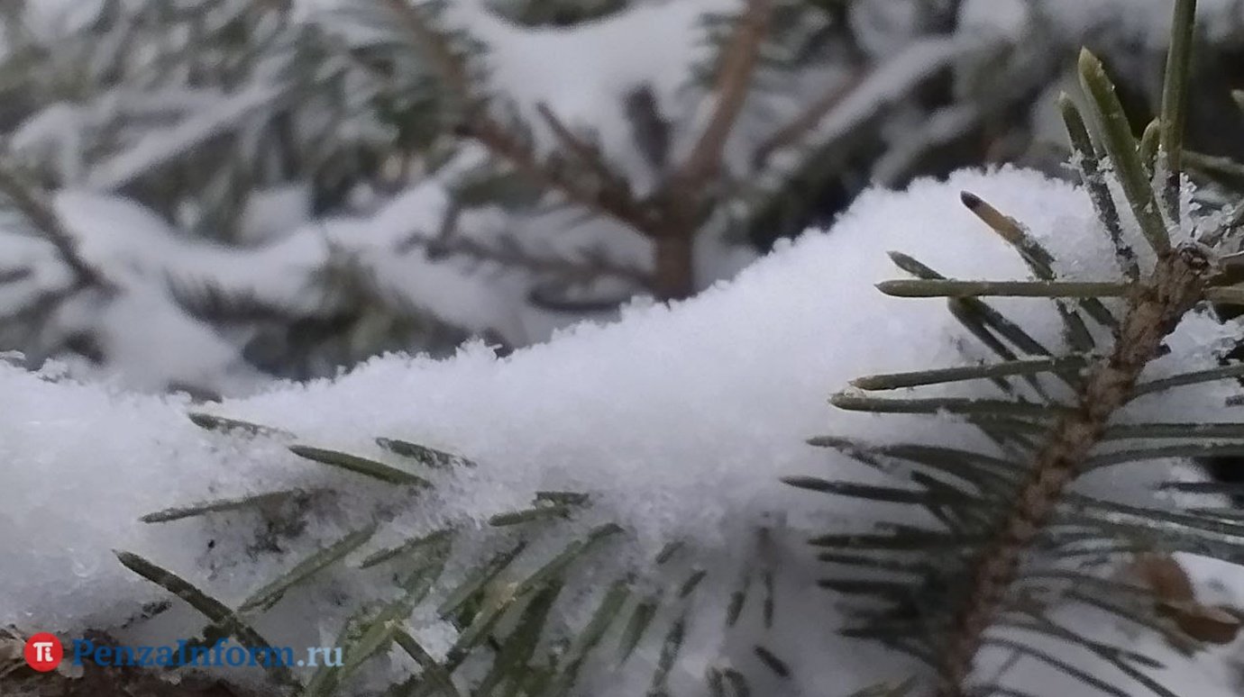 Жителей Пензенской области ждет снежное ненастье