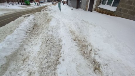 Пензенец об уборке снега: Водителям - чистые дороги, пешеходам - сугробы
