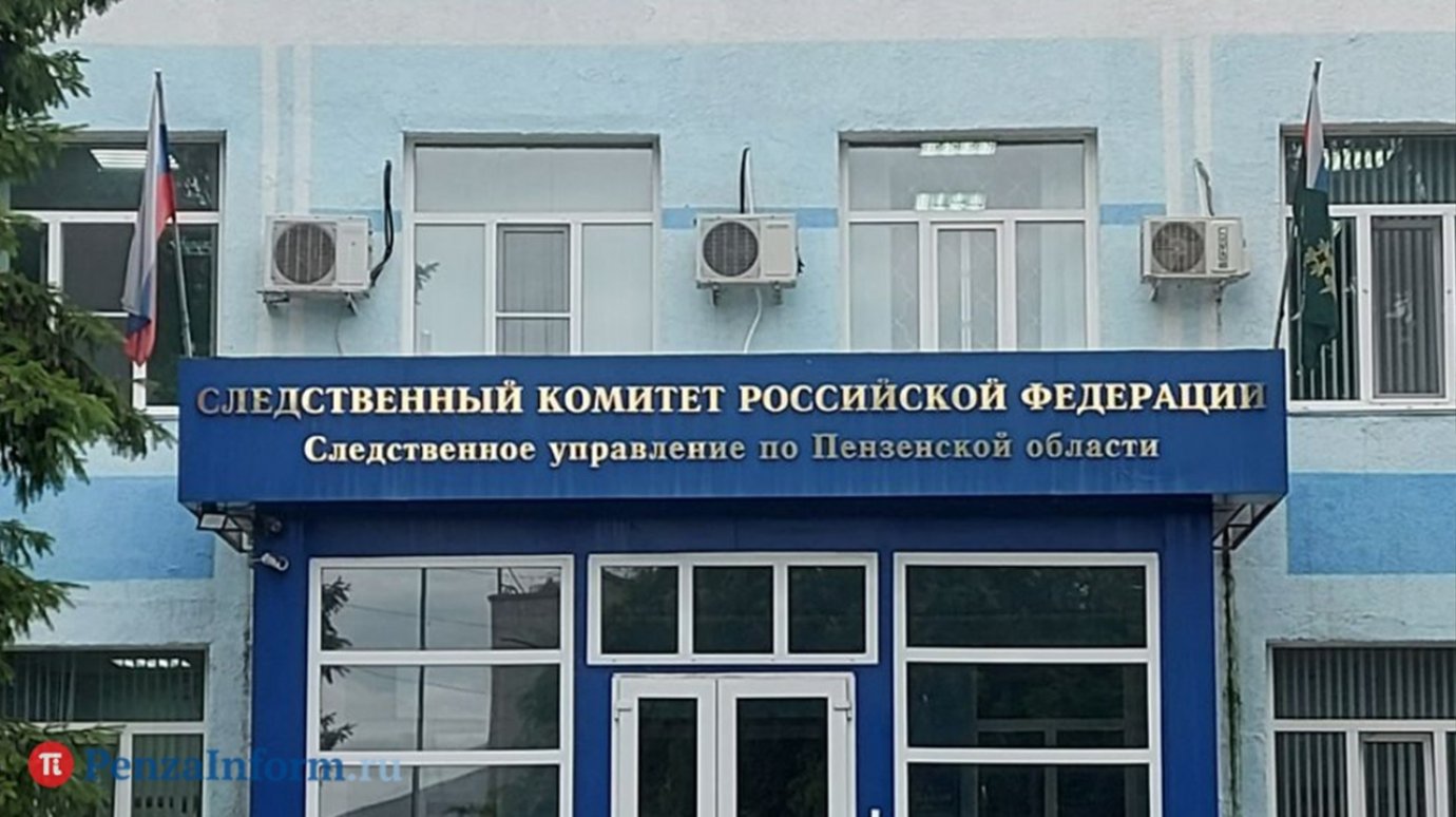 Бастрыкин потребовал доклад о смерти девочки в Пензенской области