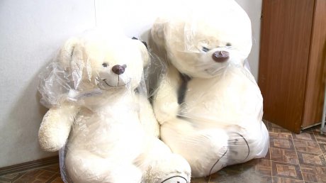 Полицейские задержали похитителей плюшевых медведей