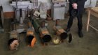 Кузнецкие студенты делают печки-буржуйки для зоны СВО