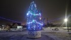 В Мичуринском прислушались к жалобам на новогоднюю елку
