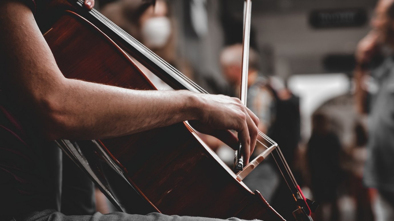 29 декабря - Международный день виолончели