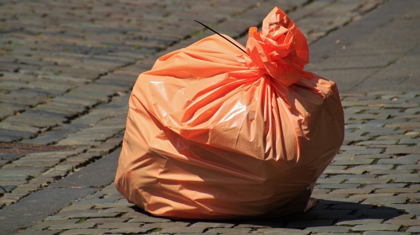 В Пензе потратят почти 2 млн рублей на мусорные мешки с логотипом
