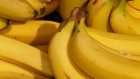 В России оценили вероятность исчезновения бананов из-за бунтов в Эквадоре