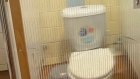 В туалетах российской школы установили прозрачные двери