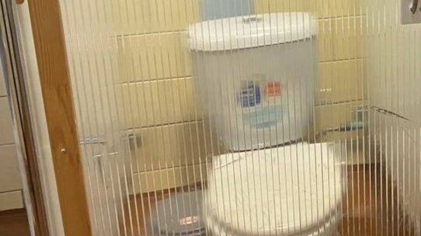 В туалетах российской школы установили прозрачные двери