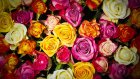 В Пензе наказание похитителя 51 розы смягчила беременность супруги