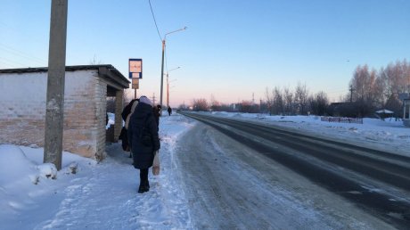 Пензенцы замерзли на остановках в ожидании транспорта