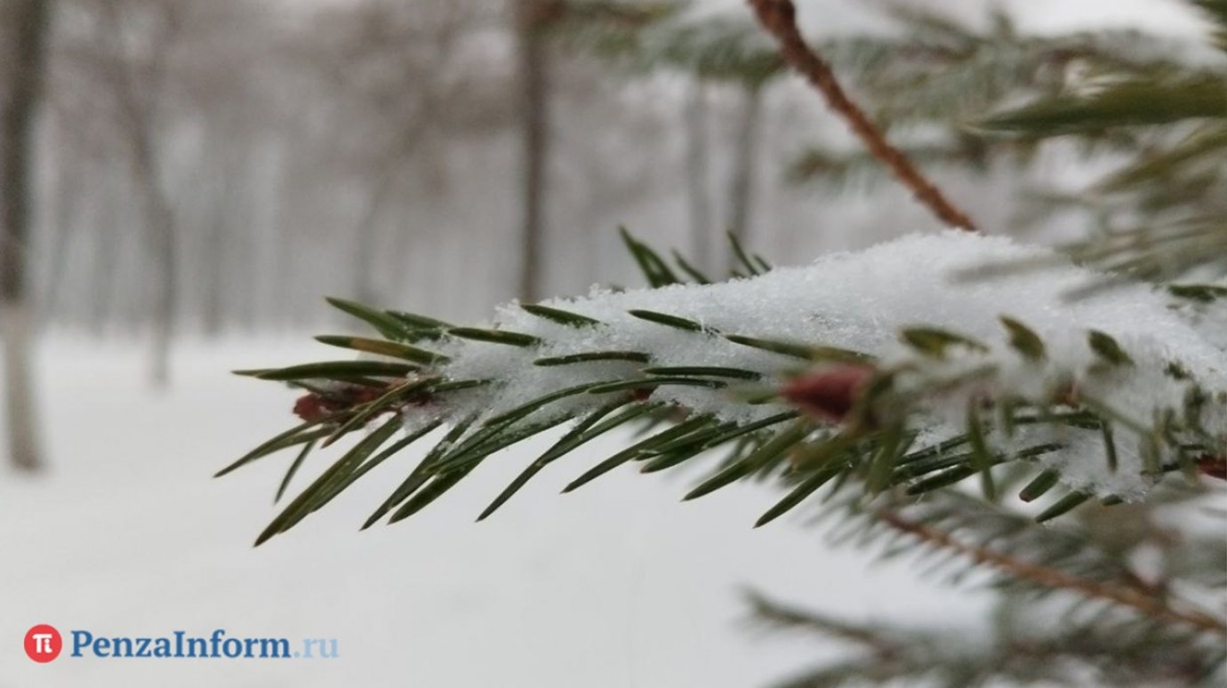 25 января в Пензенской области будет снежным