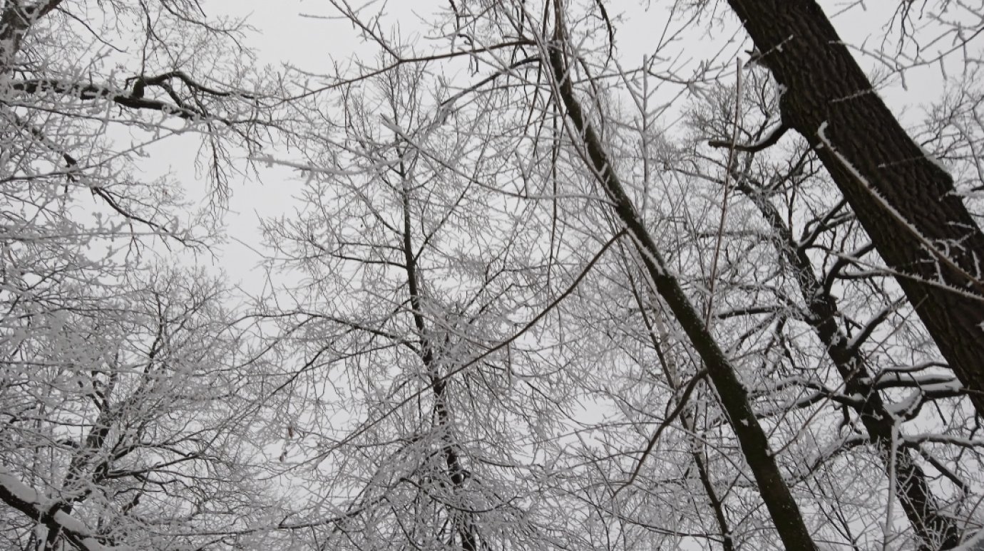 Синоптики прогнозируют возвращение мороза в Пензенскую область
