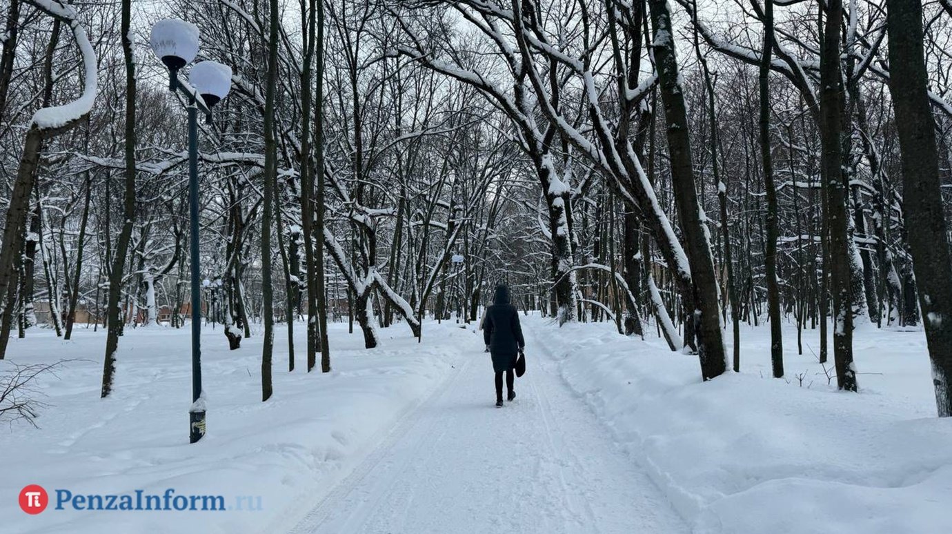 7 февраля пензенцы смогут отдохнуть от снегопадов