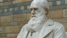 12 февраля вспомним теорию эволюции Дарвина