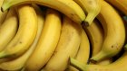 Бананы подорожают и могут исчезнуть с полок пензенских магазинов