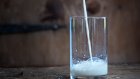 Не все молоко в Пензенской области прошло проверку Роспотребнадзора