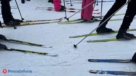 Лыжники из городов и районов области поборются за кубок губернатора