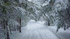 22 февраля в Пензенской области обещают небольшой снегопад