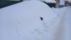 Пензенцам не стоит надолго оставлять машины под снегом