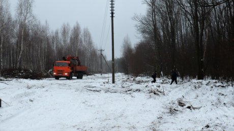 В Нижнеломовском районе ресурсники вырубили помешавшую им рощу