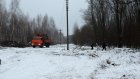 В Нижнеломовском районе ресурсники вырубили помешавшую им рощу
