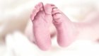 29 февраля в Пензенской области первой родилась девочка