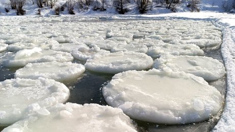 Пензенцы могут приехать в Сурск и полюбоваться редким видом льда