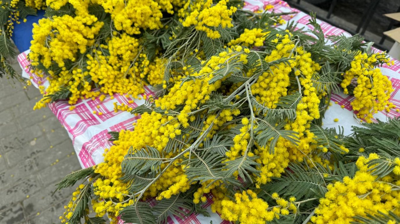 В Пензе открылись цветочные ярмарки: горожане изучили цены