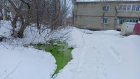 Кузнечанин заметил у дома странную субстанцию зеленого цвета