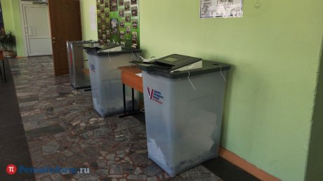 Александр Синюков о выборах: Зеленки и коктейлей Молотова не было