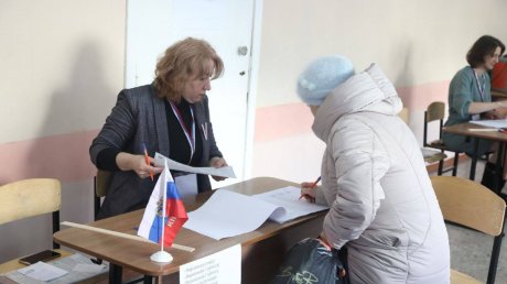 Представители ЕР сагитировали на выборах президента 30 млн россиян
