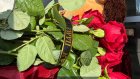 Пензенцы несут к Дому молодежи цветы в память о погибших в теракте