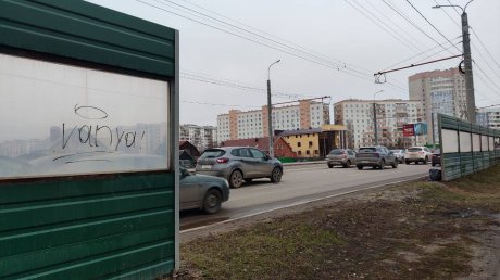 Шумозащитные экраны на улице Терновского пришли в негодность