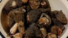 В Пензенской области грибники открывают сезон тихой охоты