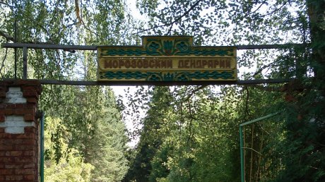 На обновление Морозовского дендрария потратят 2,4 млн рублей