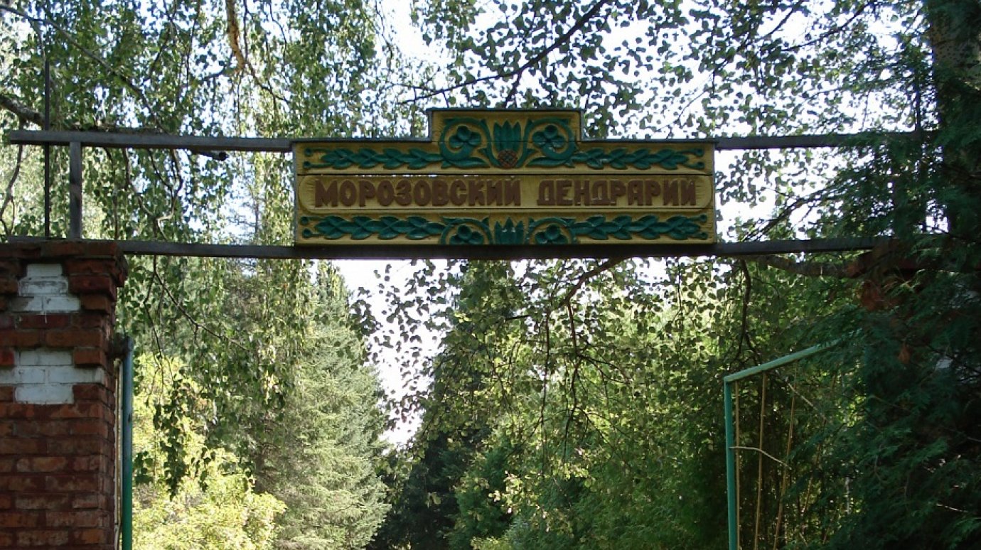 На обновление Морозовского дендрария потратят 2,4 млн рублей