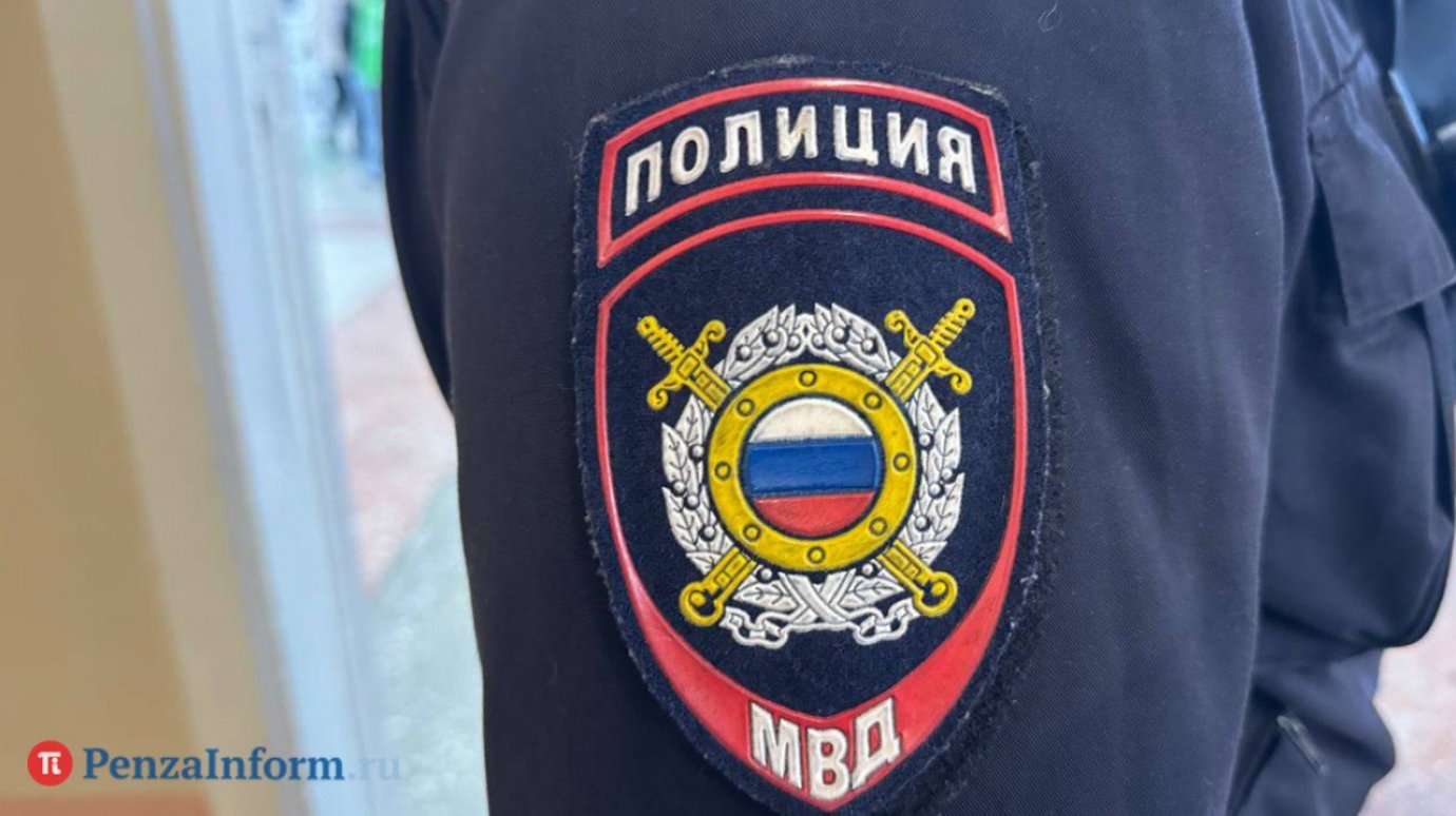 26-летняя жительница Камешкирского района напала на двоих полицейских
