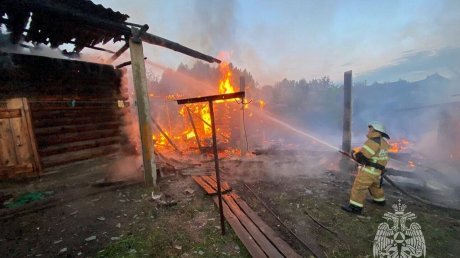 С начала года в Пензенской области при пожарах погибли 45 человек