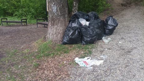 О собранном в парке «Ласточкины горы» мусоре забыли почти на месяц